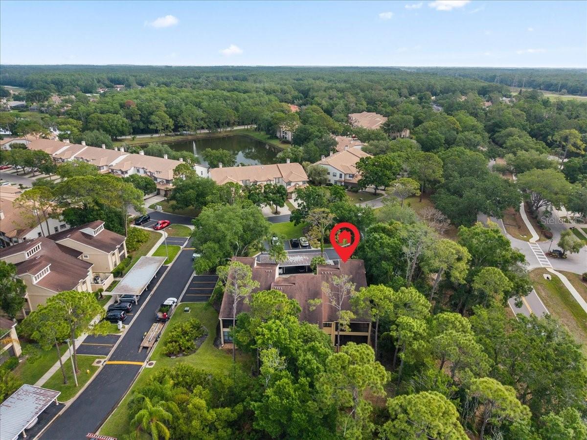 10 SHAMROCK WAY #10, OLDSMAR, FL, 34677