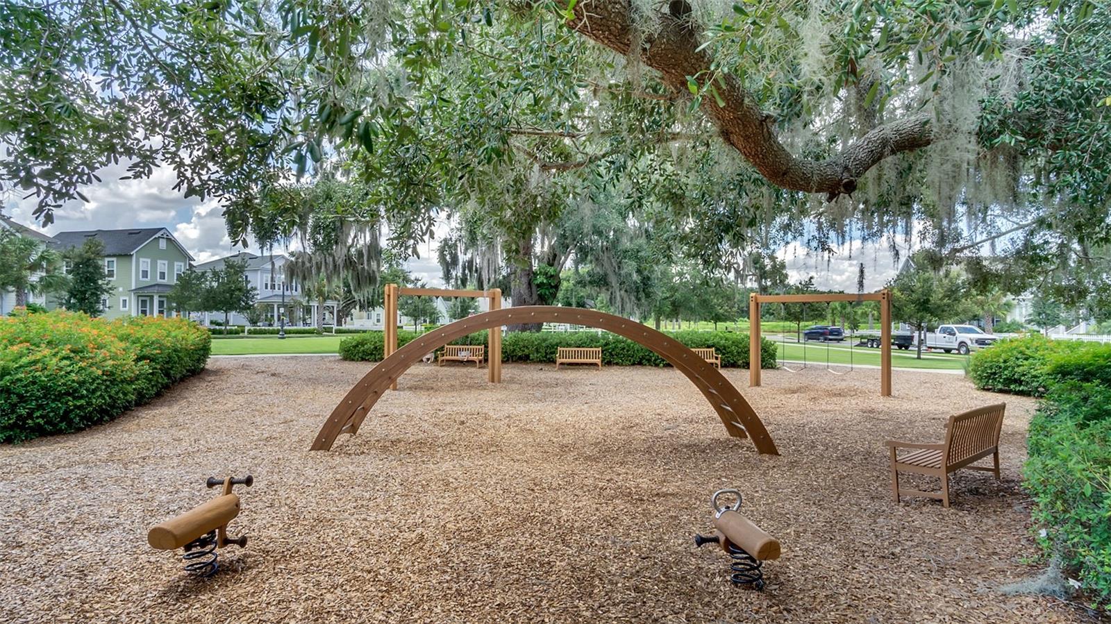 907 EASLEY AVE, WINTER GARDEN, FL, 34787