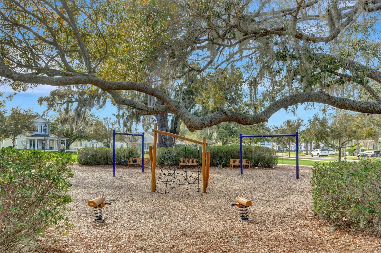 907 EASLEY AVE, WINTER GARDEN, FL, 34787