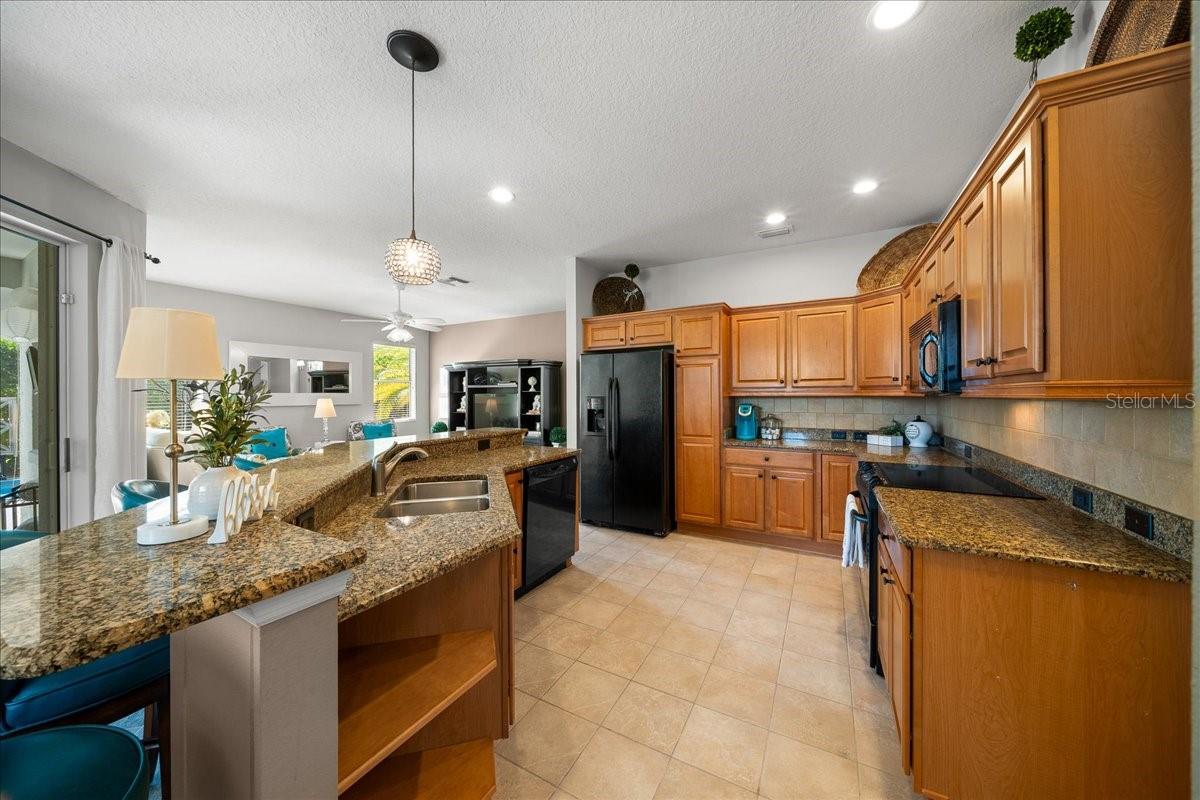 1606 SNELLING AVE, THE VILLAGES, FL, 32162