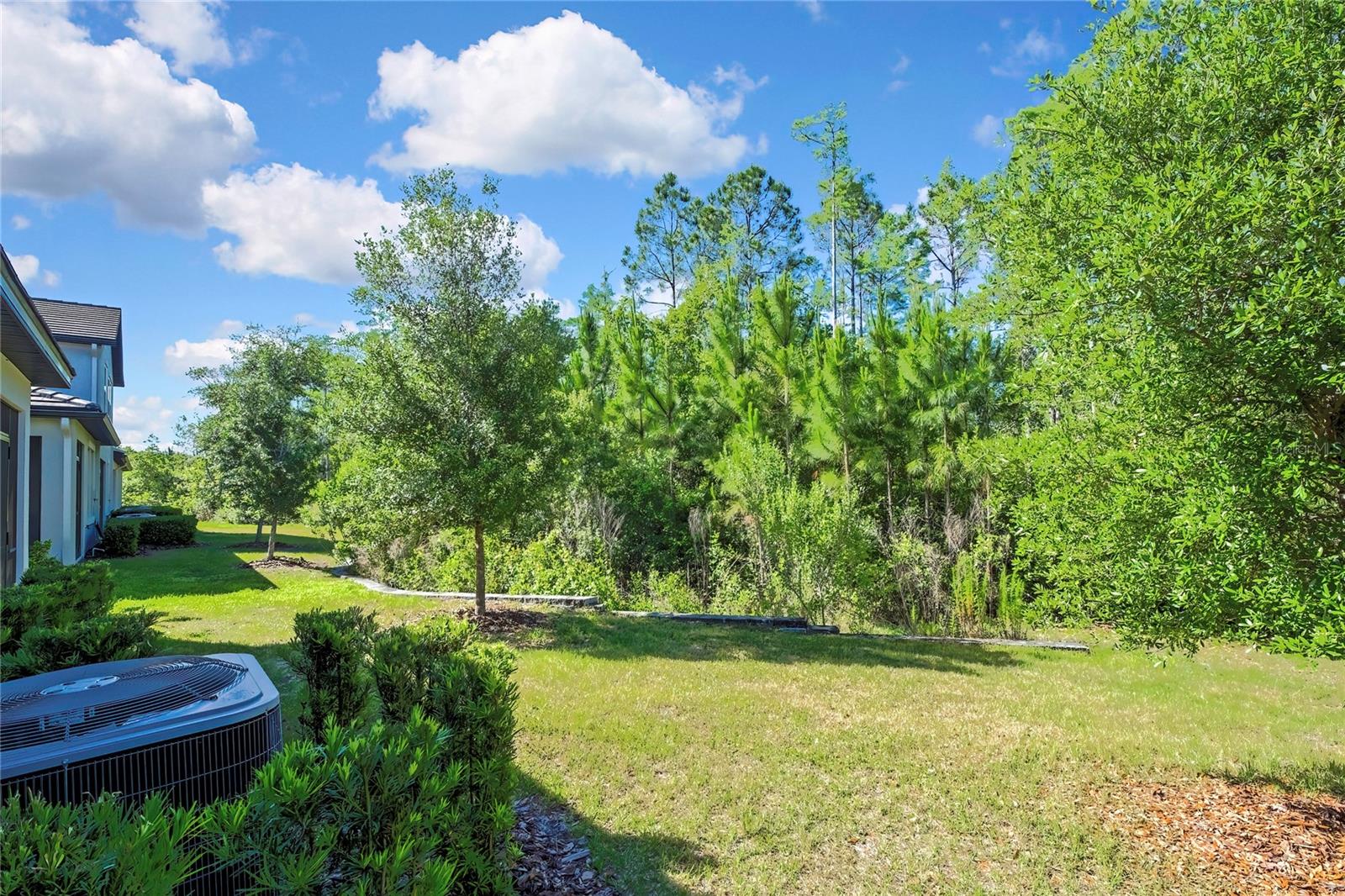 16663 SHELL BAY DR, LAND O LAKES, FL, 34638