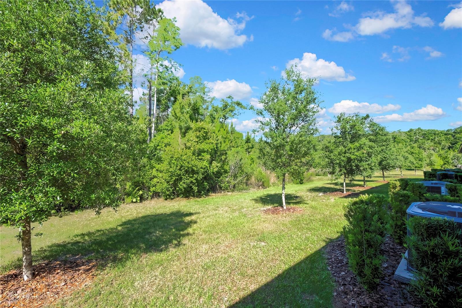 16663 SHELL BAY DR, LAND O LAKES, FL, 34638