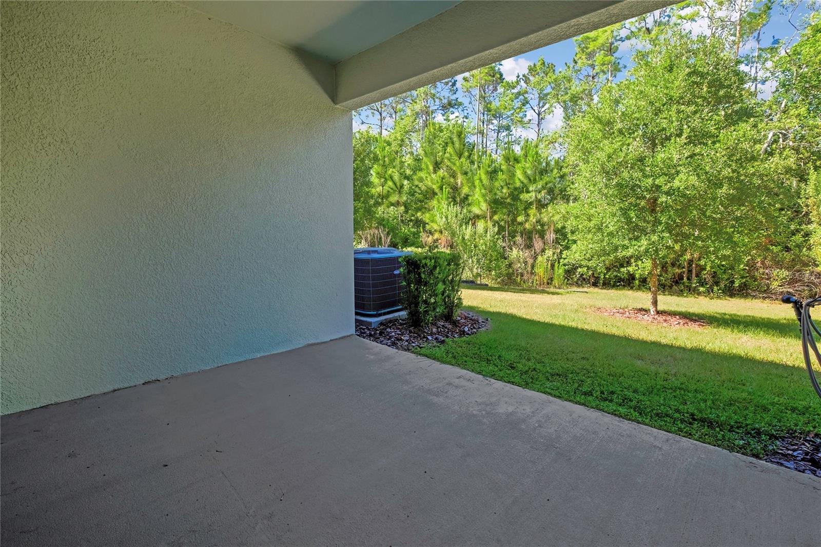 16663 SHELL BAY DR, LAND O LAKES, FL, 34638