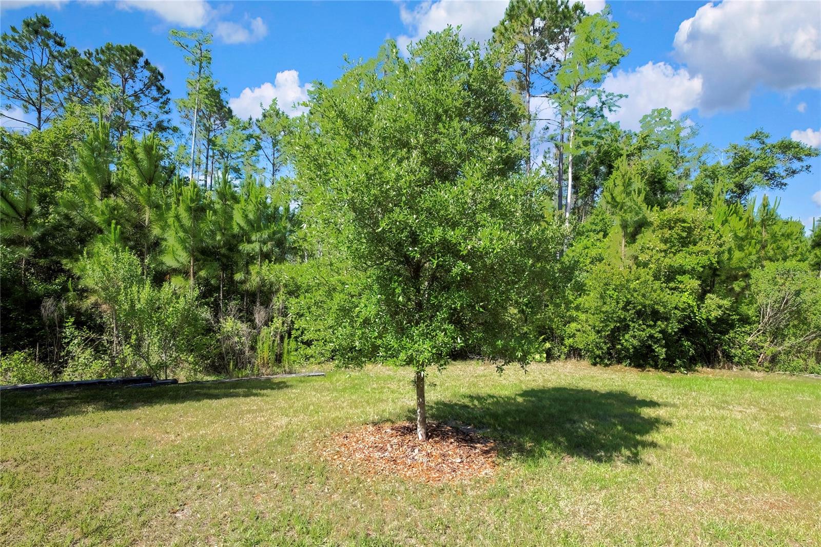 16663 SHELL BAY DR, LAND O LAKES, FL, 34638
