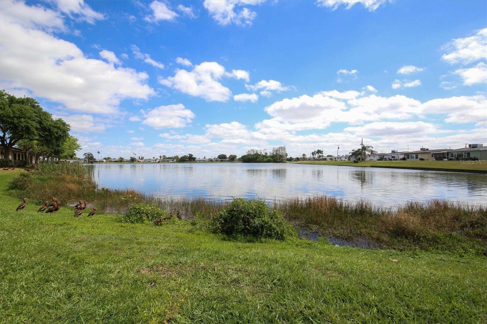 1834 E DEL WEBB BLVD, SUN CITY CENTER, FL, 33573