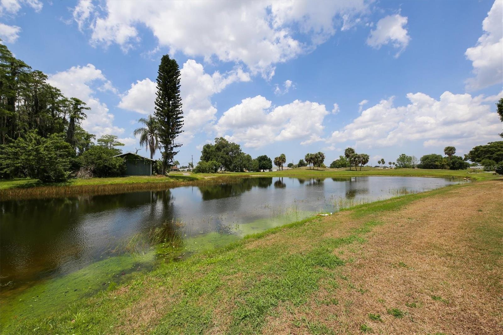 1834 E DEL WEBB BLVD, SUN CITY CENTER, FL, 33573