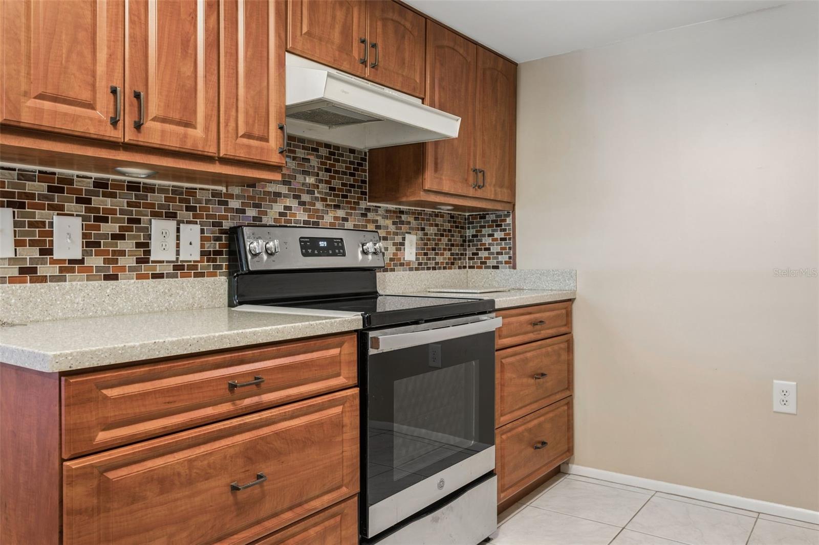 2587 COUNTRYSIDE BLVD #6313, CLEARWATER, FL, 33761