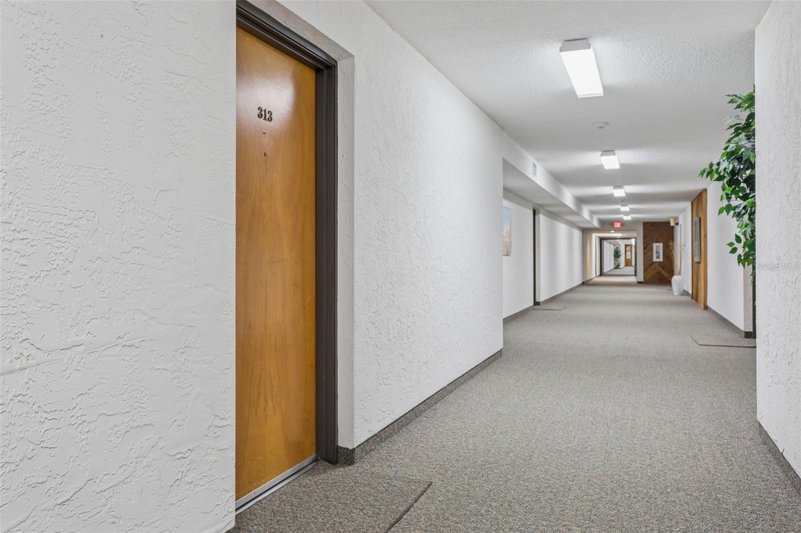 2587 COUNTRYSIDE BLVD #6313, CLEARWATER, FL, 33761