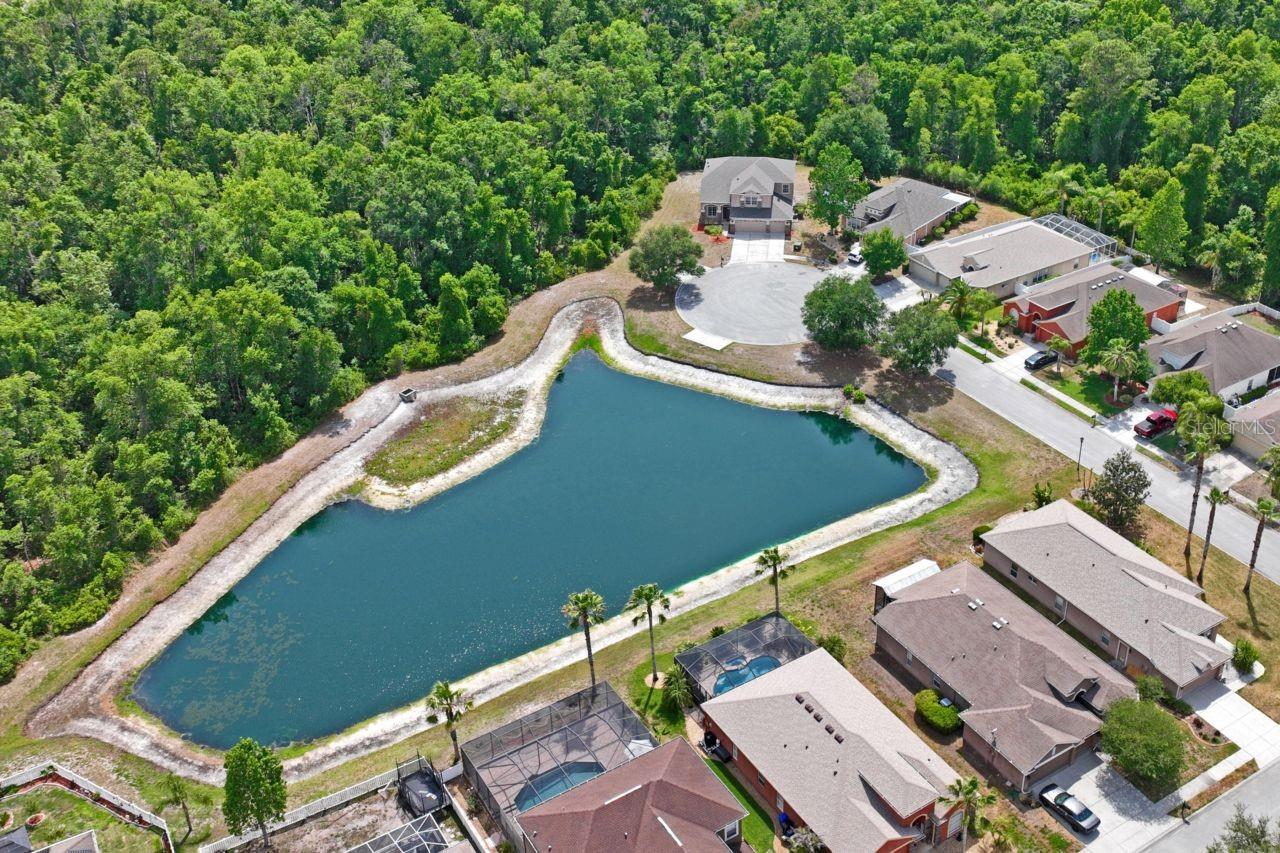 9423 FAIRHOPE CT, NEW PORT RICHEY, FL, 34654