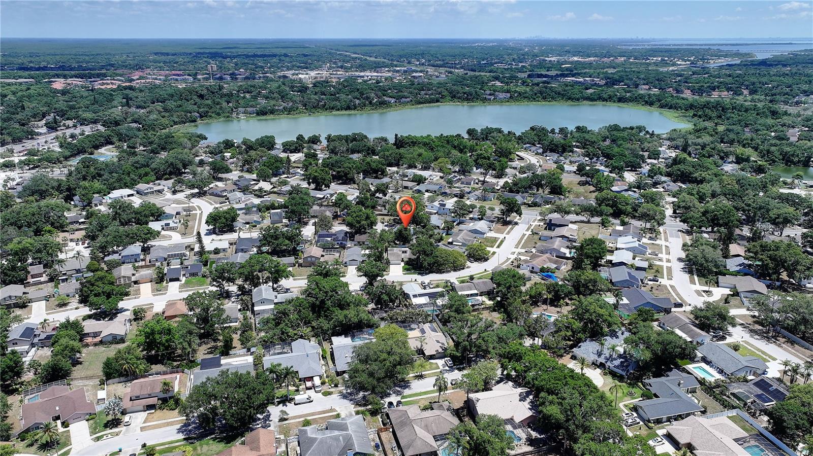 3906 BLOOMING HILL LN, PALM HARBOR, FL, 34684