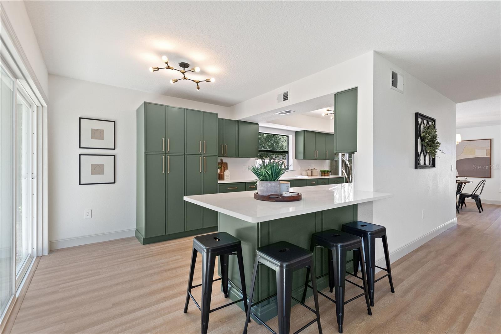 3906 BLOOMING HILL LN, PALM HARBOR, FL, 34684