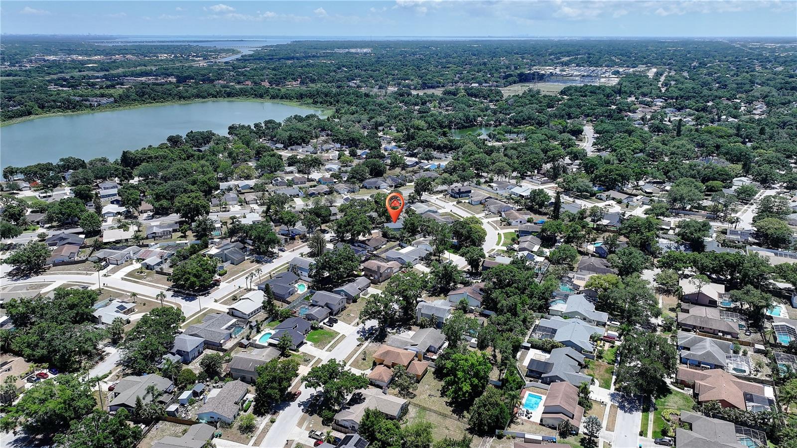 3906 BLOOMING HILL LN, PALM HARBOR, FL, 34684