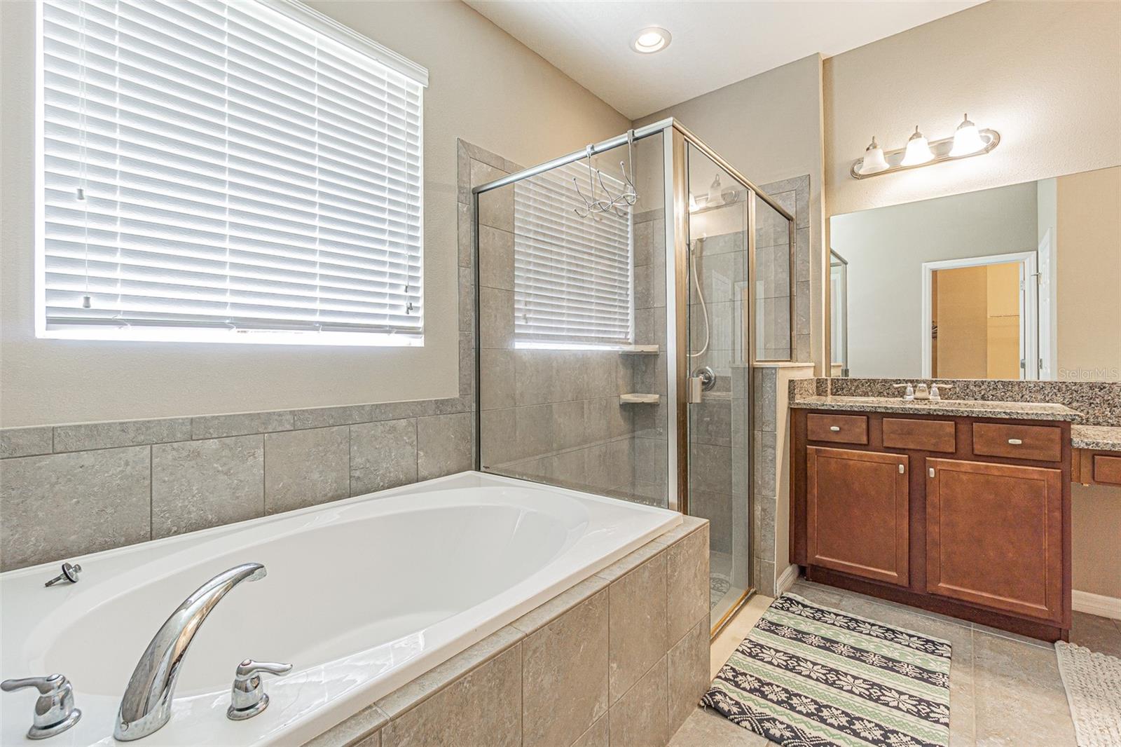 1667 NATURE VIEW DR, LUTZ, FL, 33558