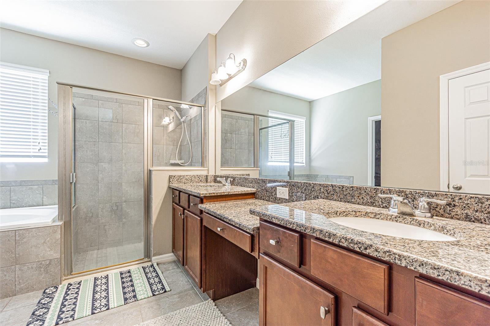 1667 NATURE VIEW DR, LUTZ, FL, 33558