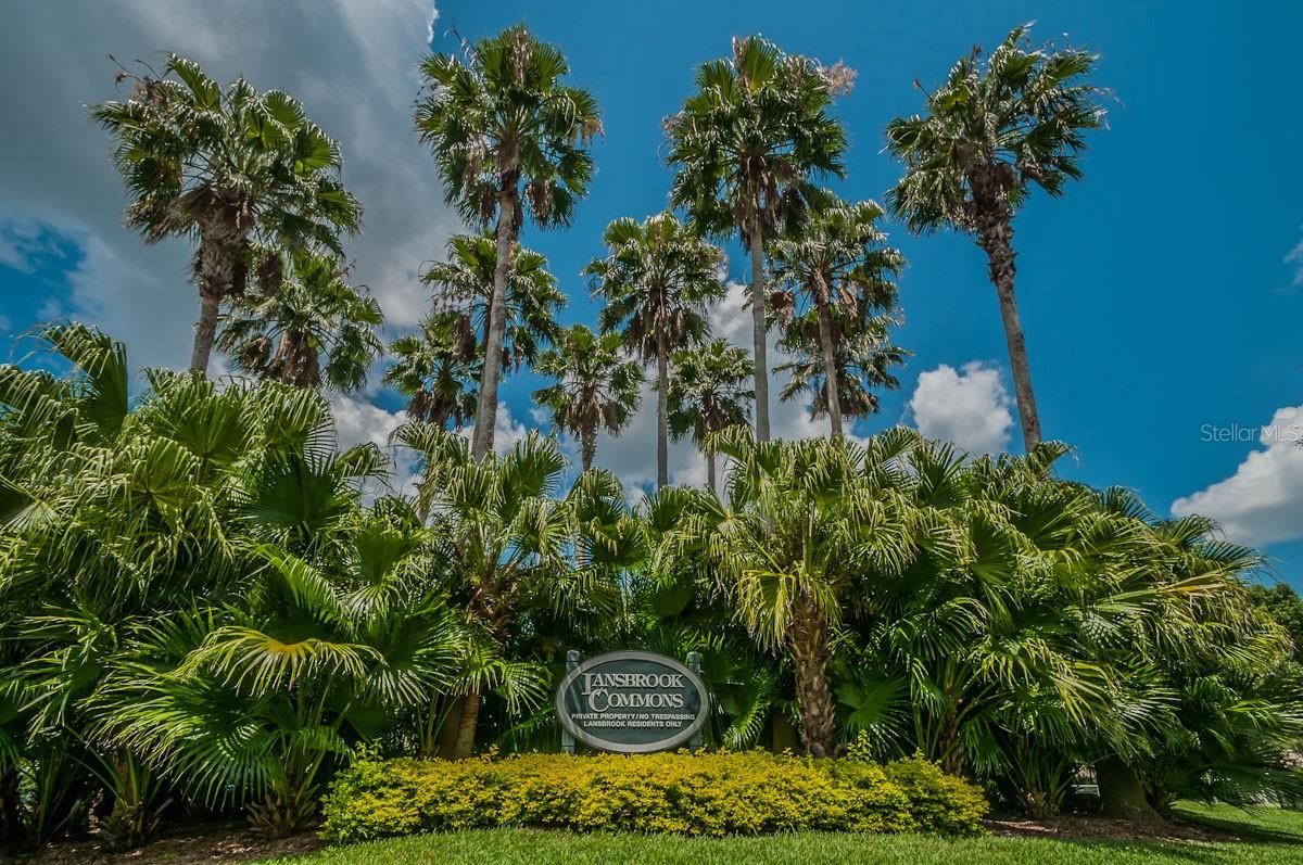 2993 NORTHFIELD DR, TARPON SPRINGS, FL, 34688