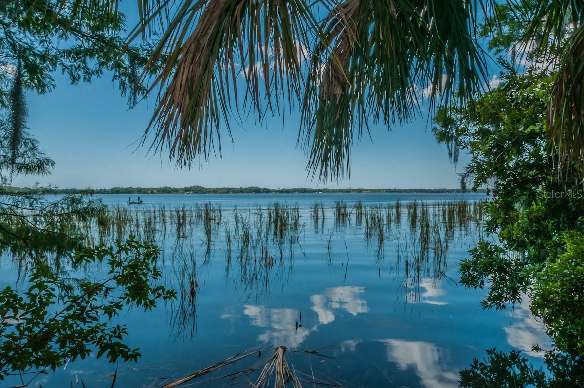 2993 NORTHFIELD DR, TARPON SPRINGS, FL, 34688
