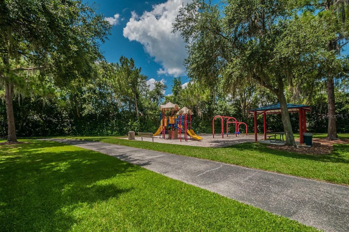 2993 NORTHFIELD DR, TARPON SPRINGS, FL, 34688