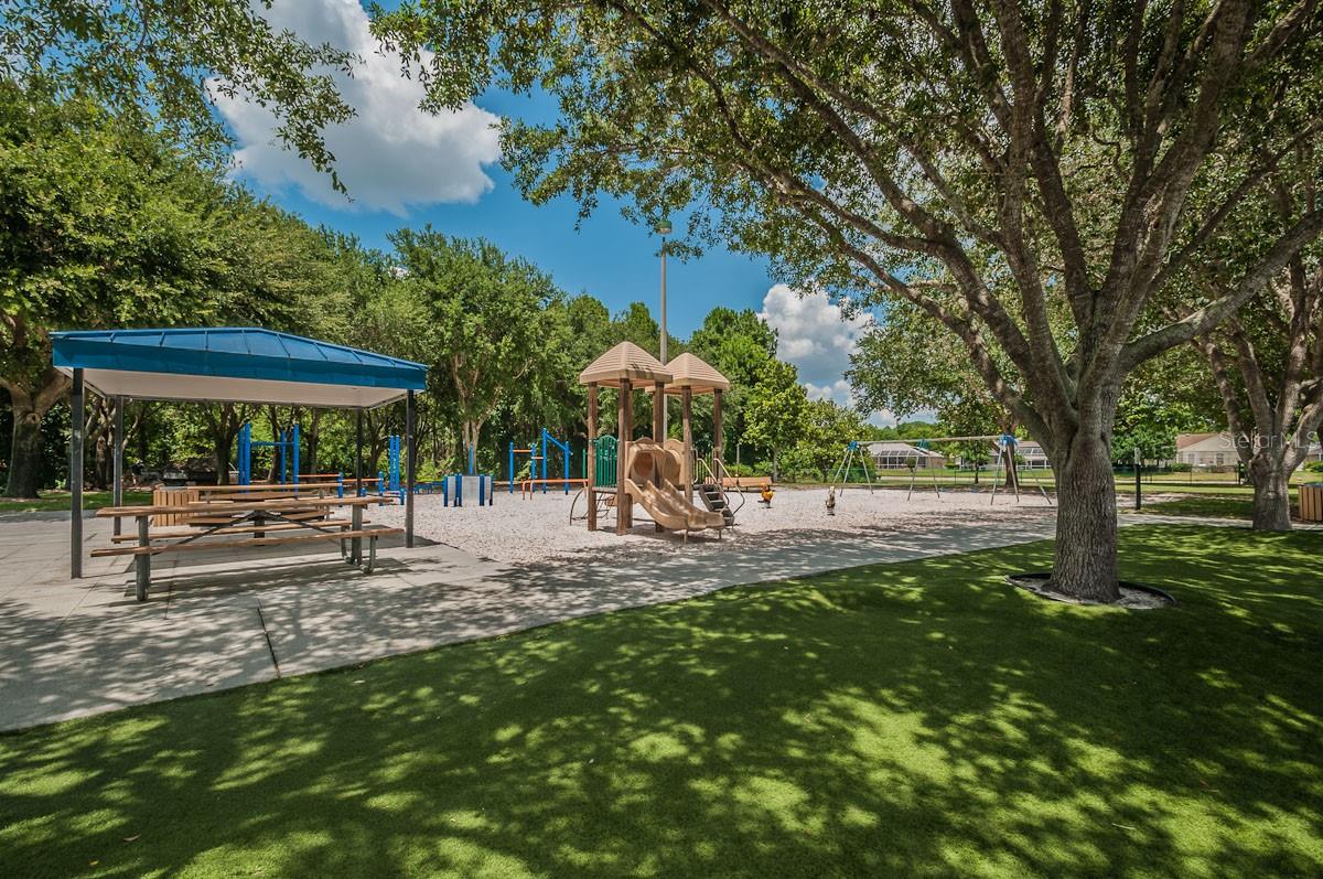2993 NORTHFIELD DR, TARPON SPRINGS, FL, 34688