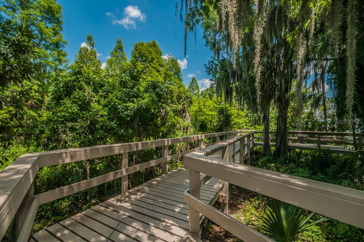 2993 NORTHFIELD DR, TARPON SPRINGS, FL, 34688