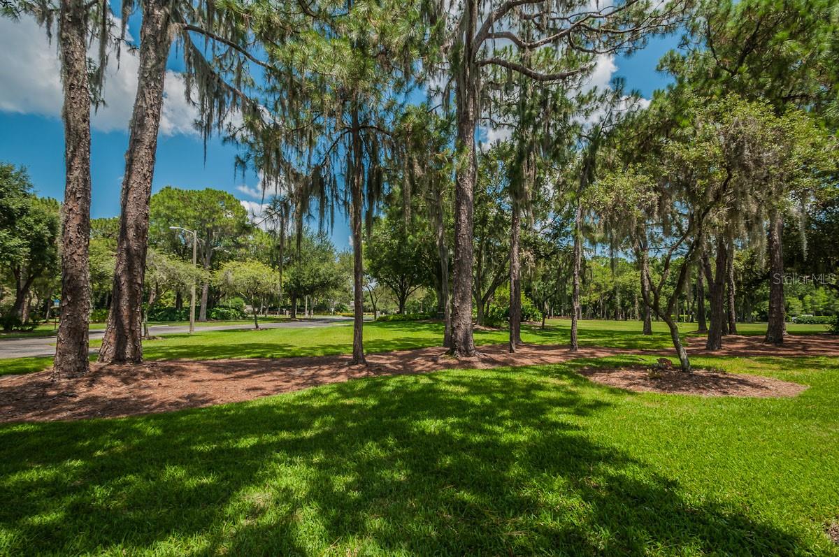 2993 NORTHFIELD DR, TARPON SPRINGS, FL, 34688