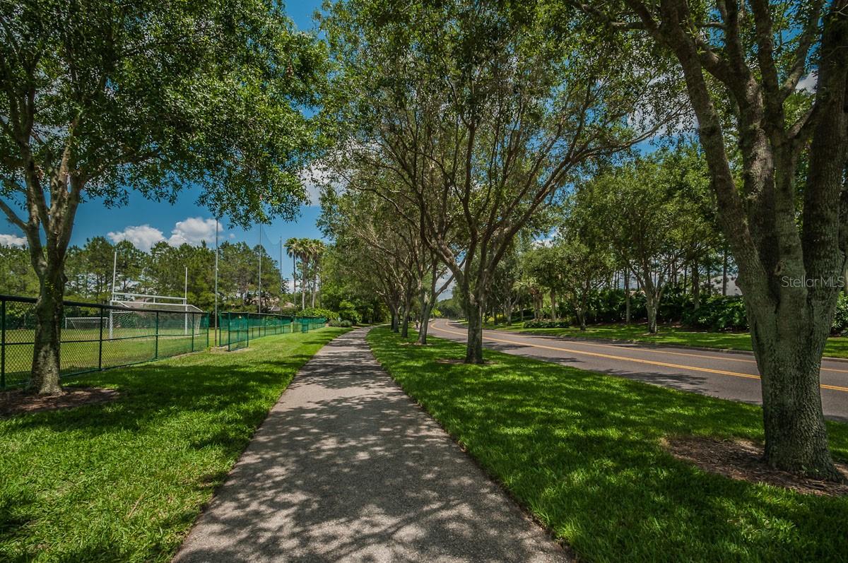 2993 NORTHFIELD DR, TARPON SPRINGS, FL, 34688