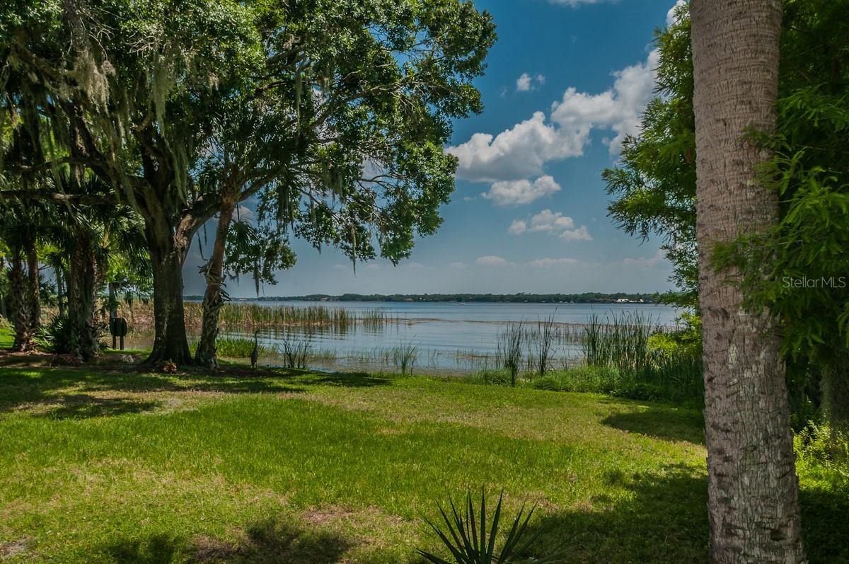 2993 NORTHFIELD DR, TARPON SPRINGS, FL, 34688