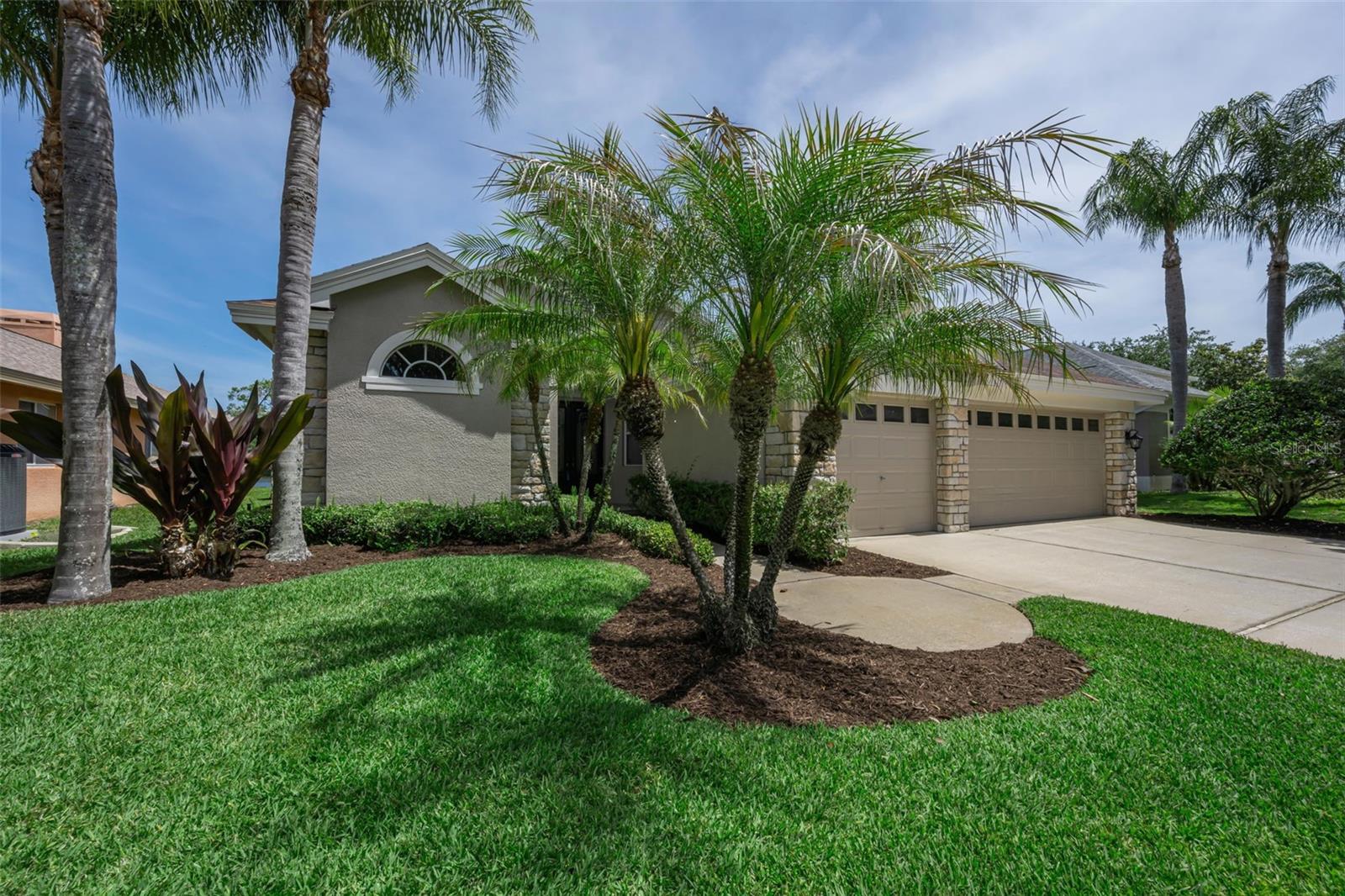2993 NORTHFIELD DR, TARPON SPRINGS, FL, 34688