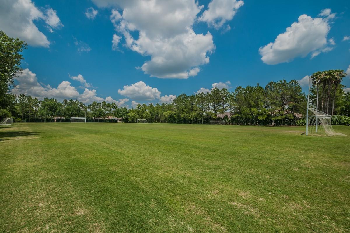 2993 NORTHFIELD DR, TARPON SPRINGS, FL, 34688