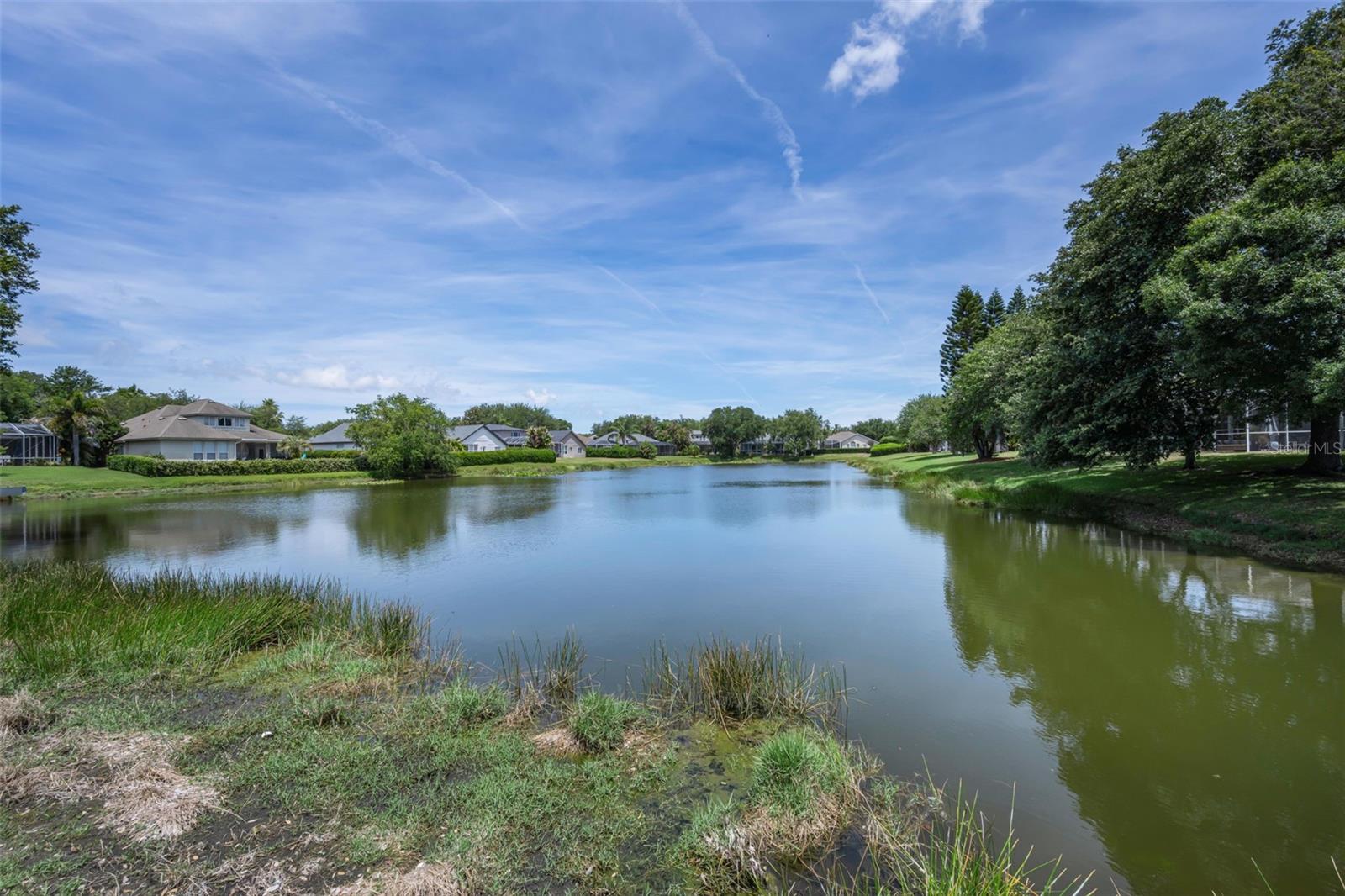 2993 NORTHFIELD DR, TARPON SPRINGS, FL, 34688