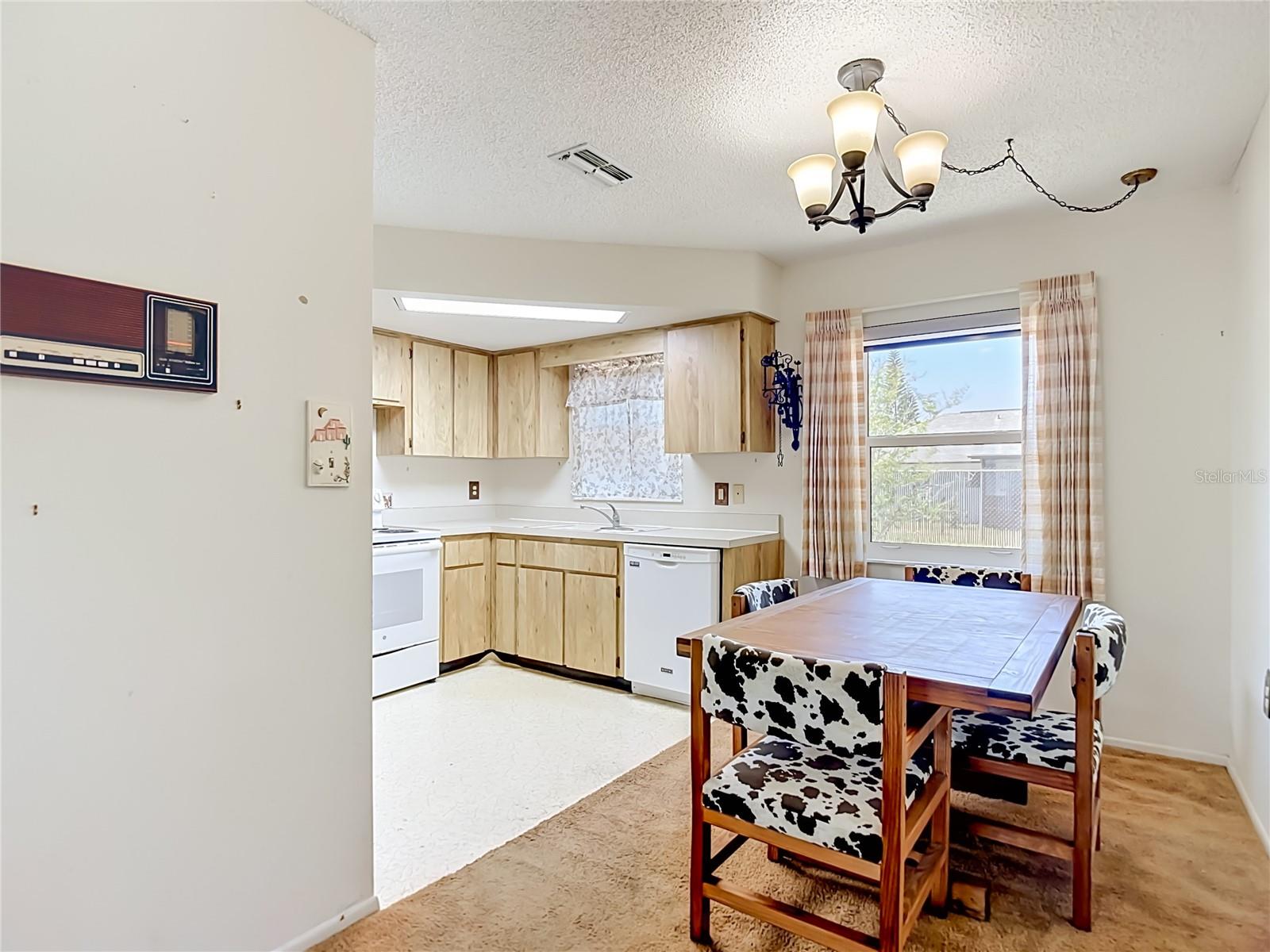 8406 LURAY DR, PORT RICHEY, FL, 34668
