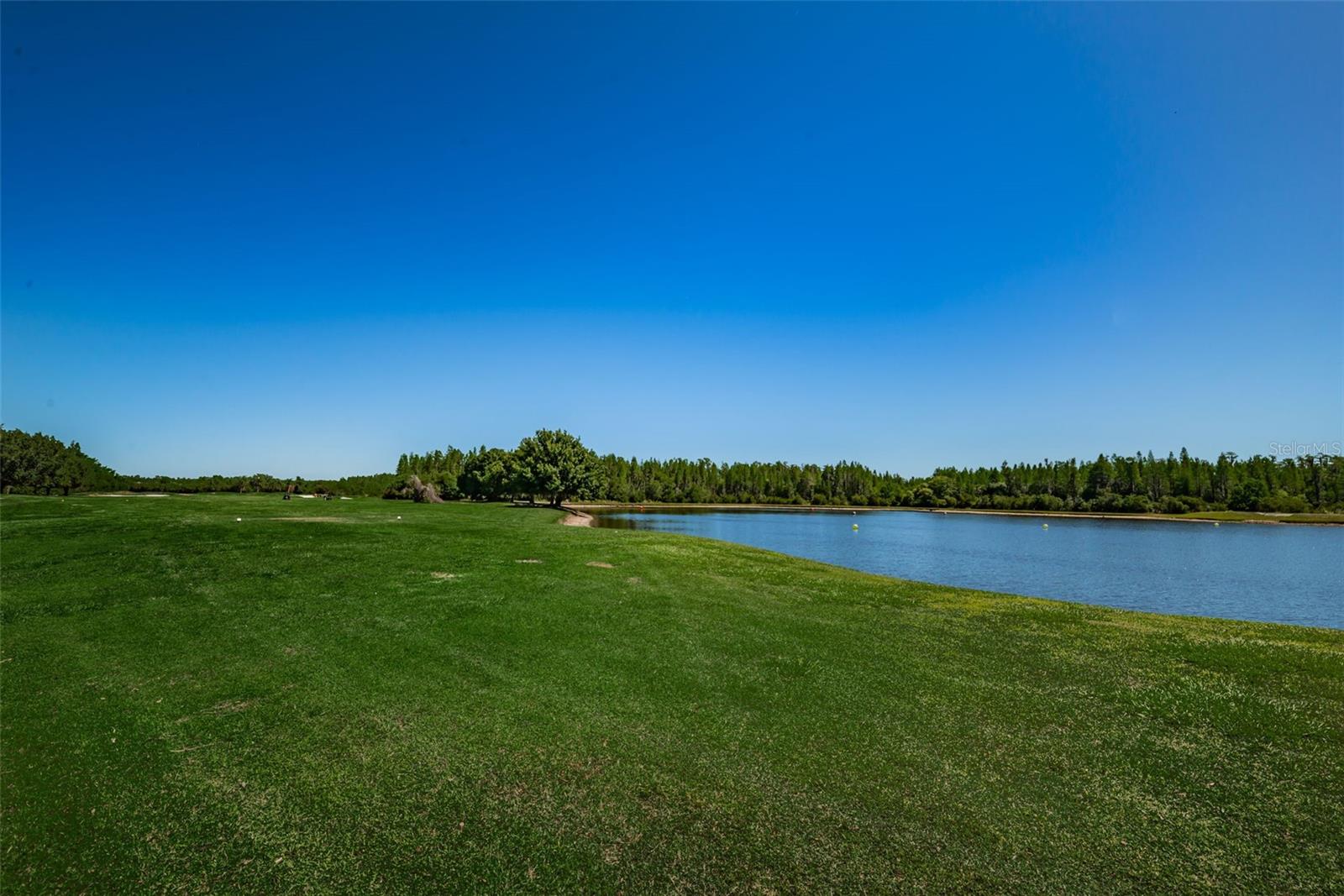 19313 AQUA SPRINGS DR, LUTZ, FL, 33558