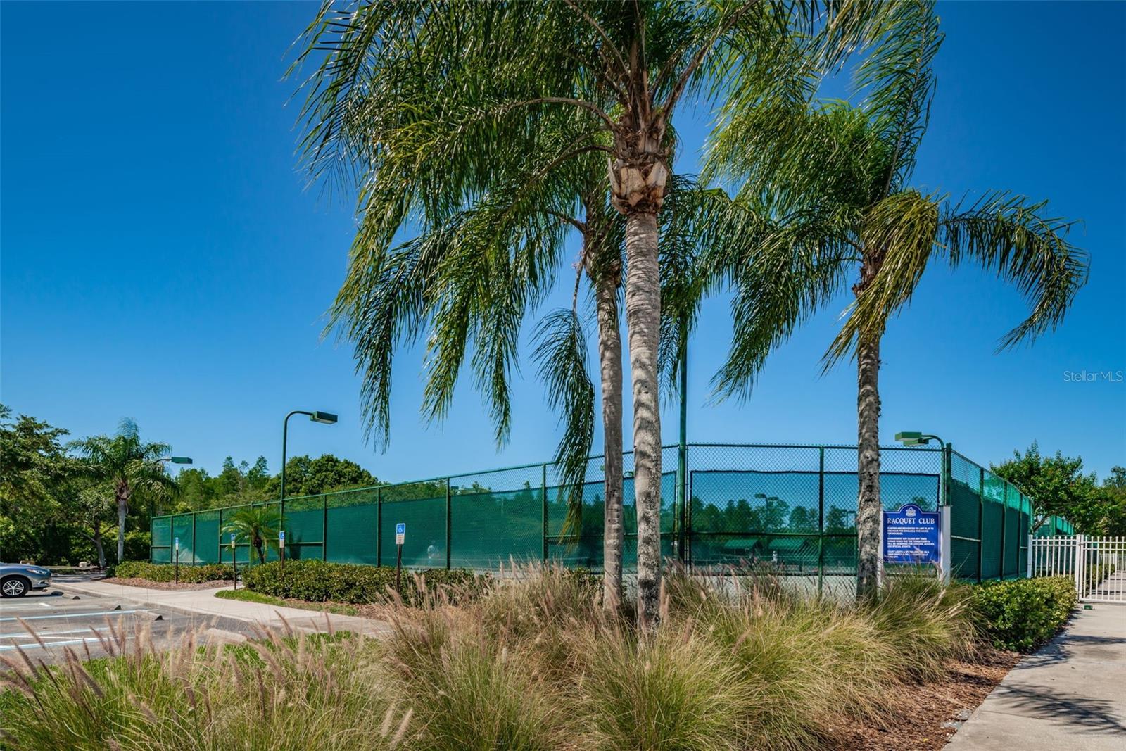 19313 AQUA SPRINGS DR, LUTZ, FL, 33558