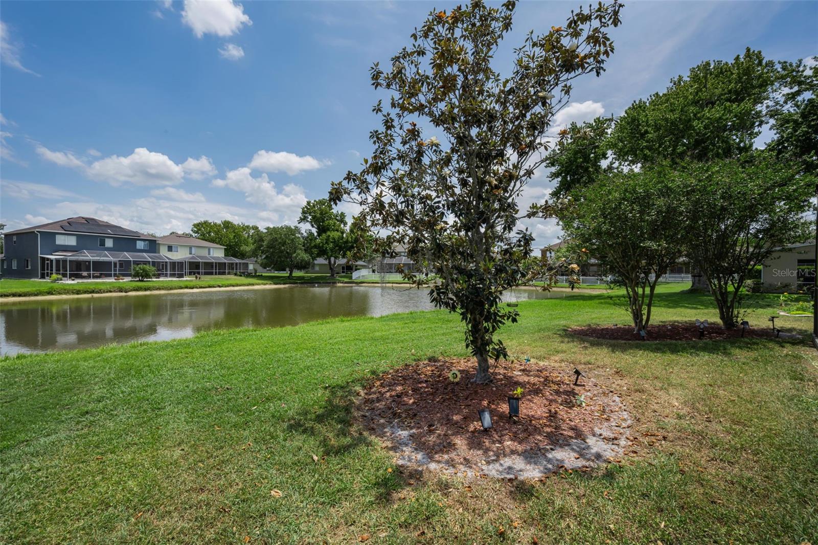 19313 AQUA SPRINGS DR, LUTZ, FL, 33558