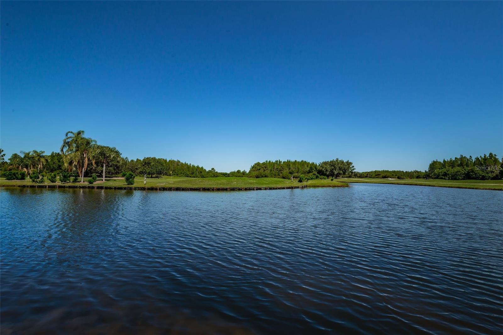 19313 AQUA SPRINGS DR, LUTZ, FL, 33558