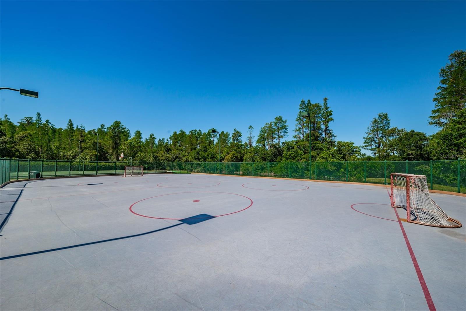 19313 AQUA SPRINGS DR, LUTZ, FL, 33558