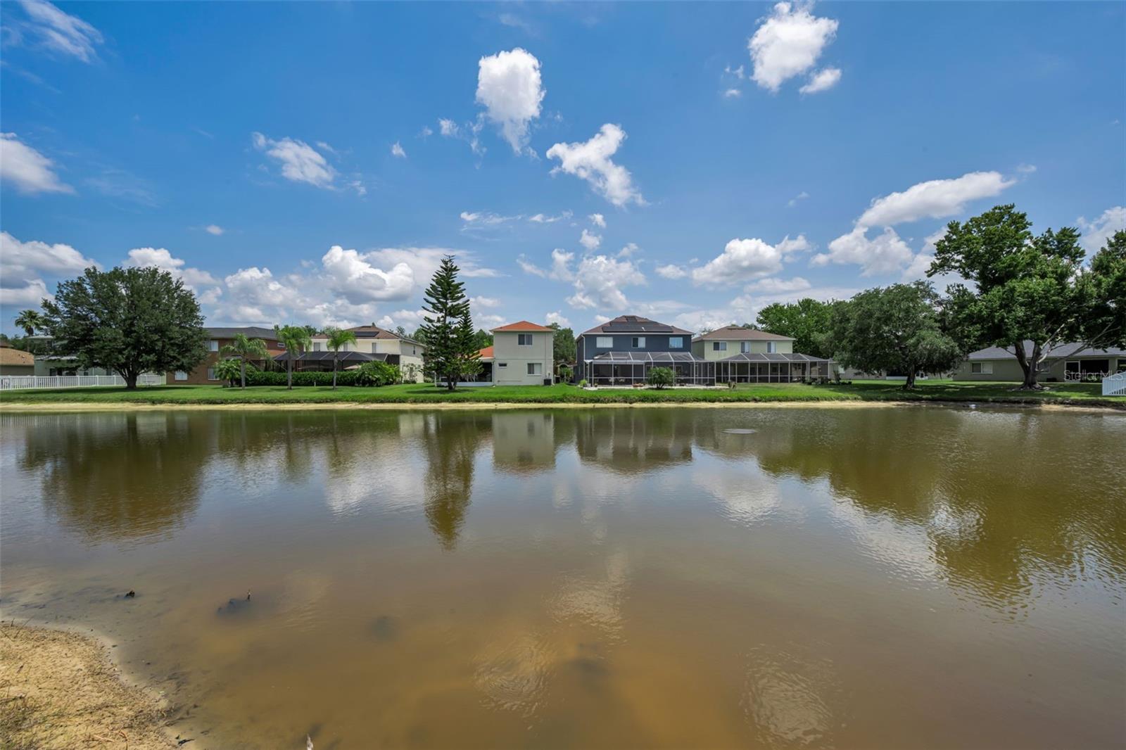19313 AQUA SPRINGS DR, LUTZ, FL, 33558