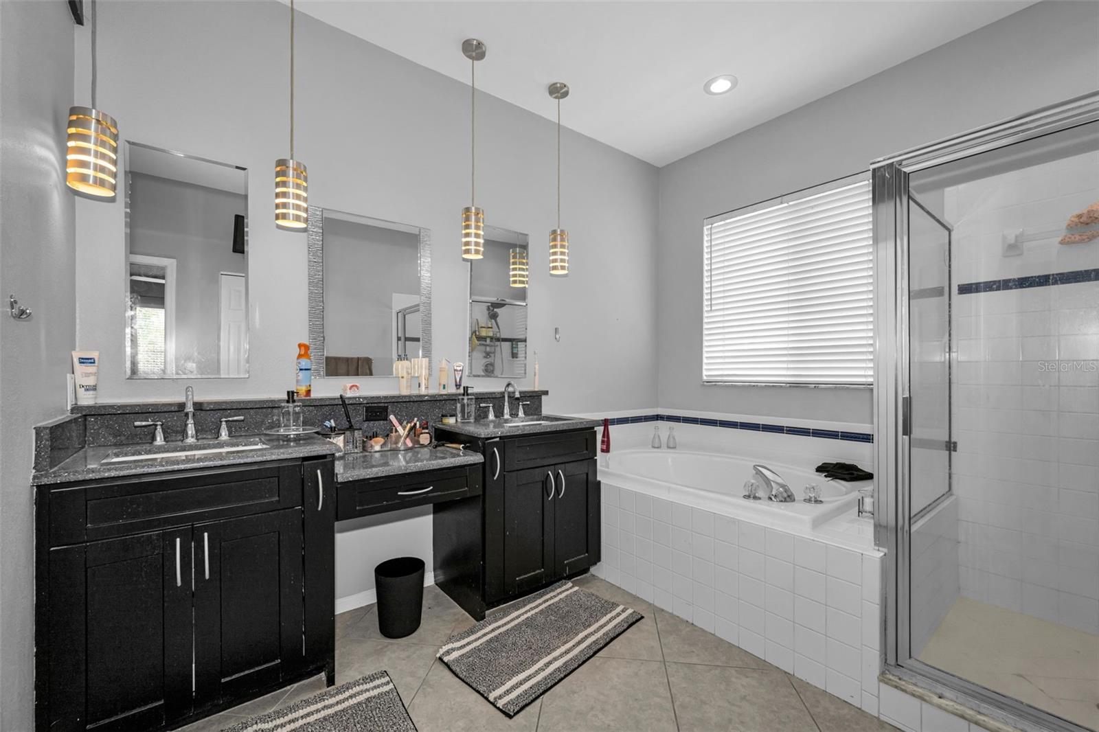 19313 AQUA SPRINGS DR, LUTZ, FL, 33558