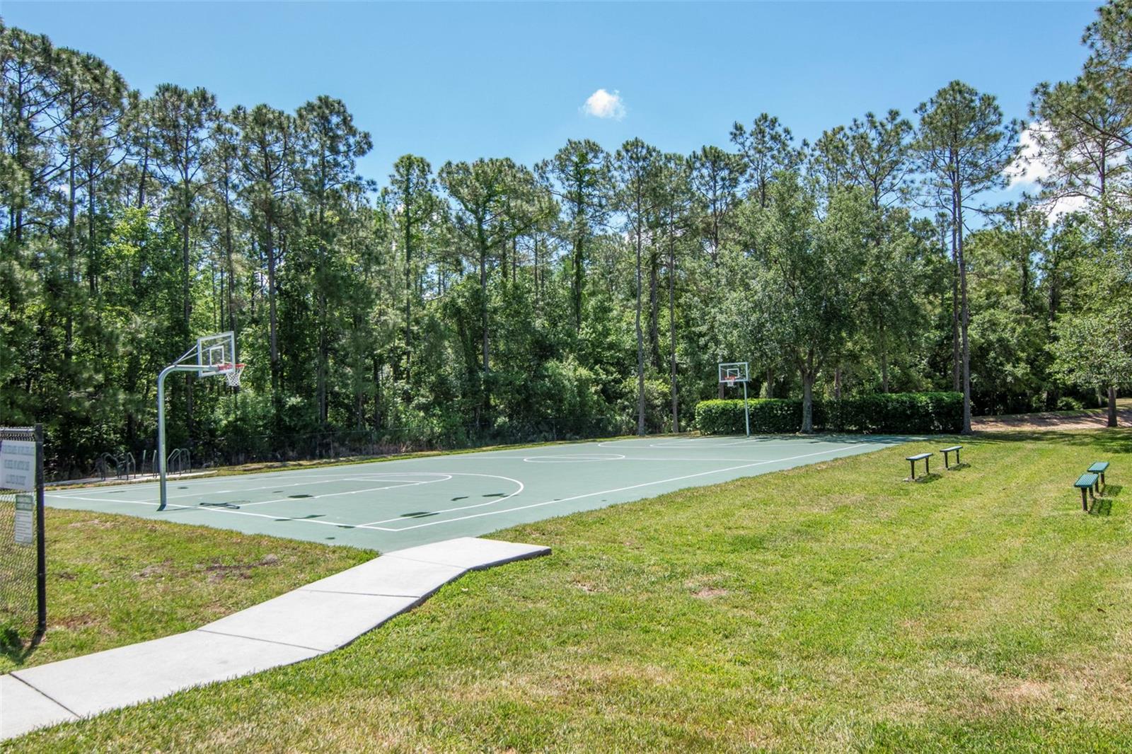 25944 WINNING COLORS WAY, WESLEY CHAPEL, FL, 33544