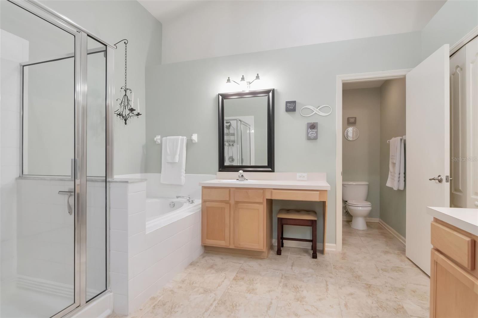 25944 WINNING COLORS WAY, WESLEY CHAPEL, FL, 33544