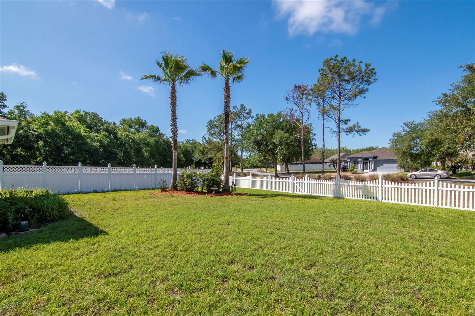 25944 WINNING COLORS WAY, WESLEY CHAPEL, FL, 33544