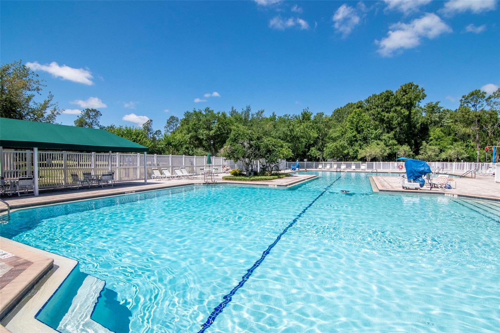 25944 WINNING COLORS WAY, WESLEY CHAPEL, FL, 33544