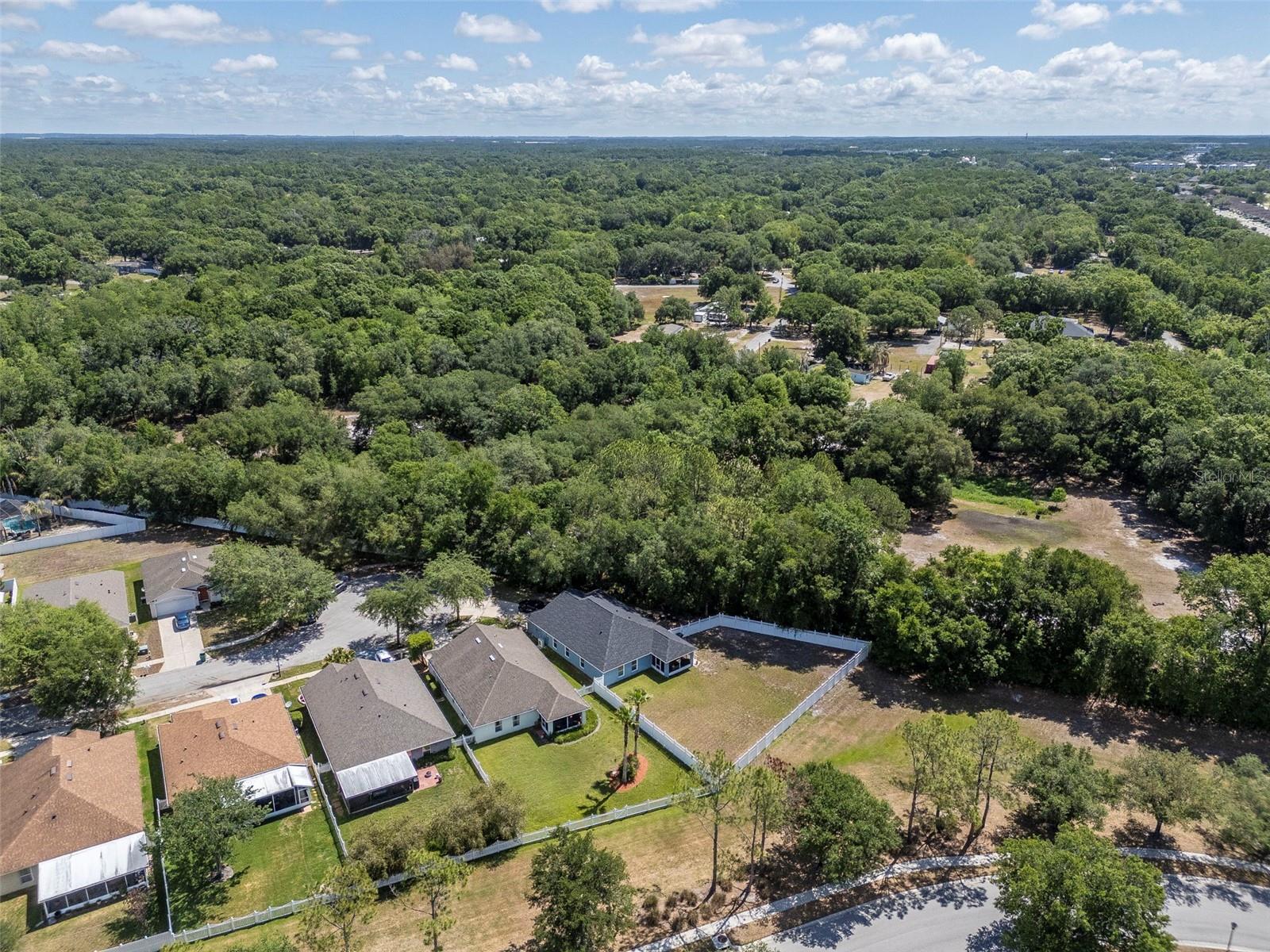 25944 WINNING COLORS WAY, WESLEY CHAPEL, FL, 33544