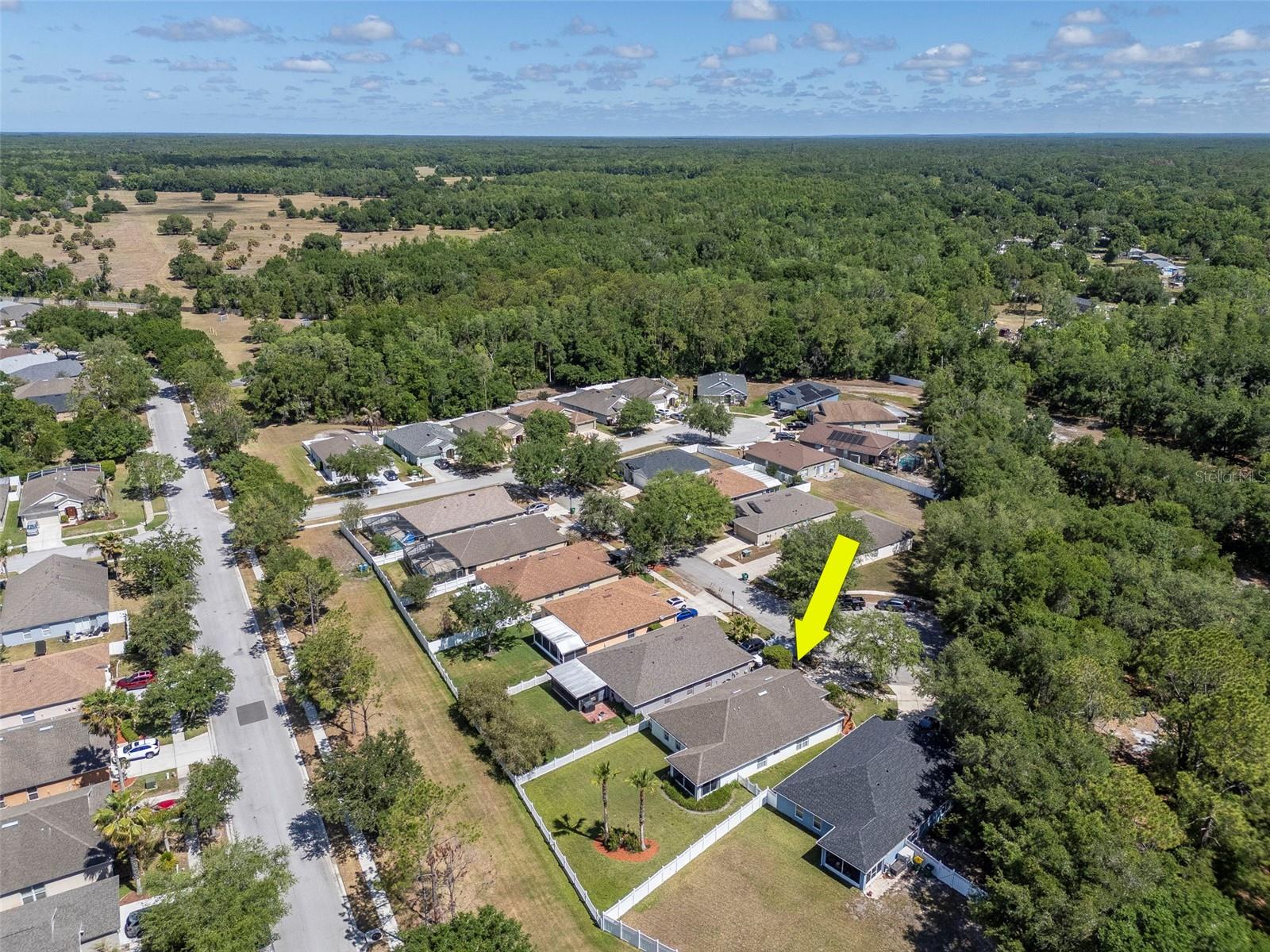 25944 WINNING COLORS WAY, WESLEY CHAPEL, FL, 33544