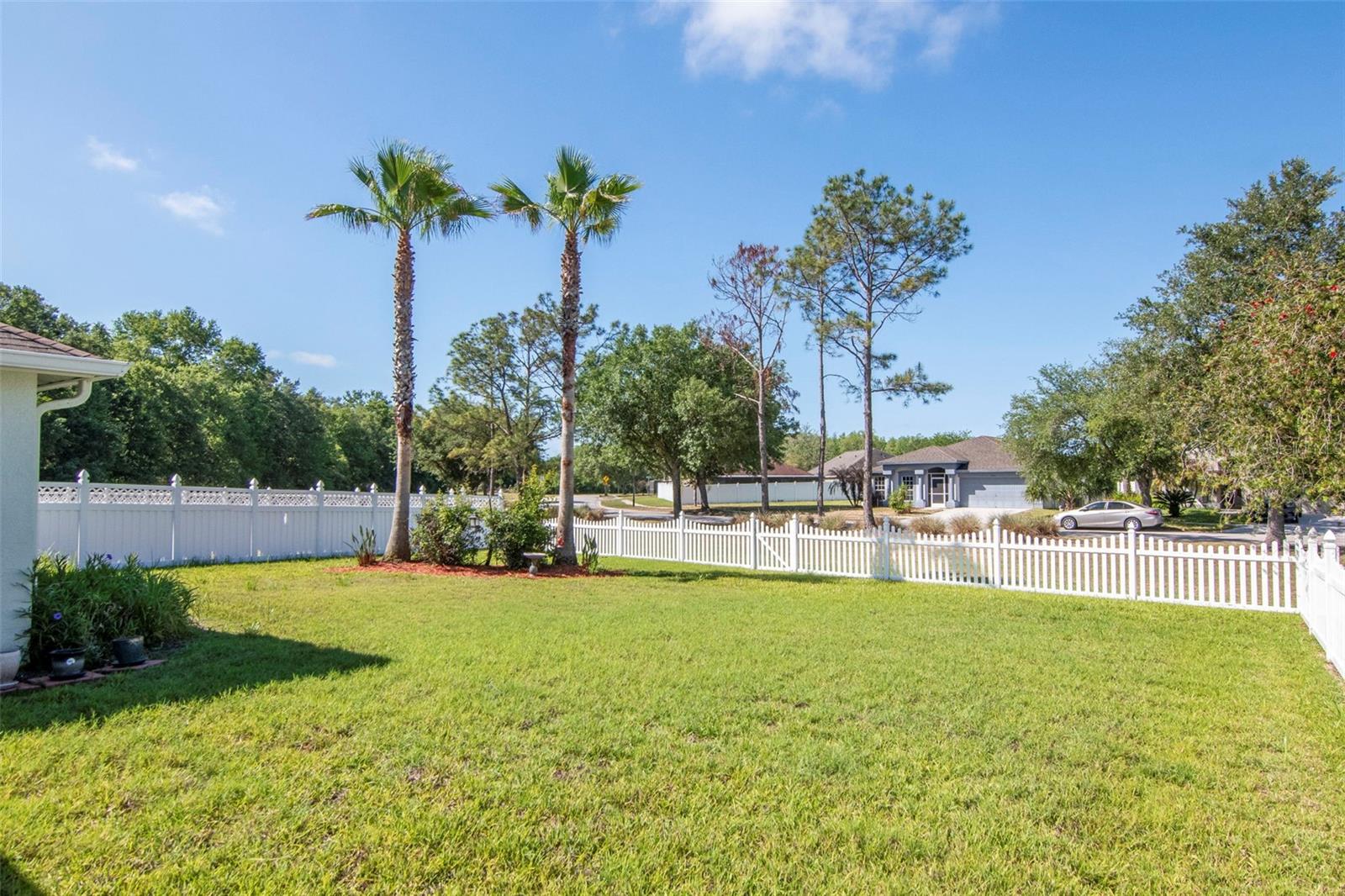 25944 WINNING COLORS WAY, WESLEY CHAPEL, FL, 33544