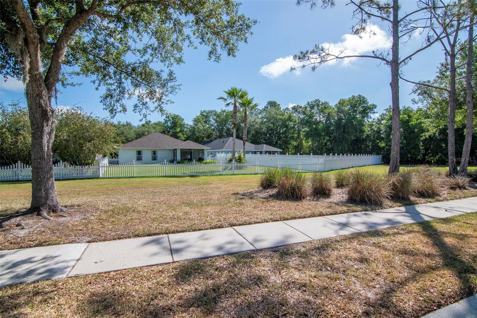 25944 WINNING COLORS WAY, WESLEY CHAPEL, FL, 33544