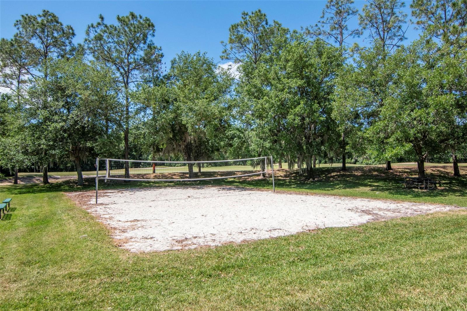25944 WINNING COLORS WAY, WESLEY CHAPEL, FL, 33544