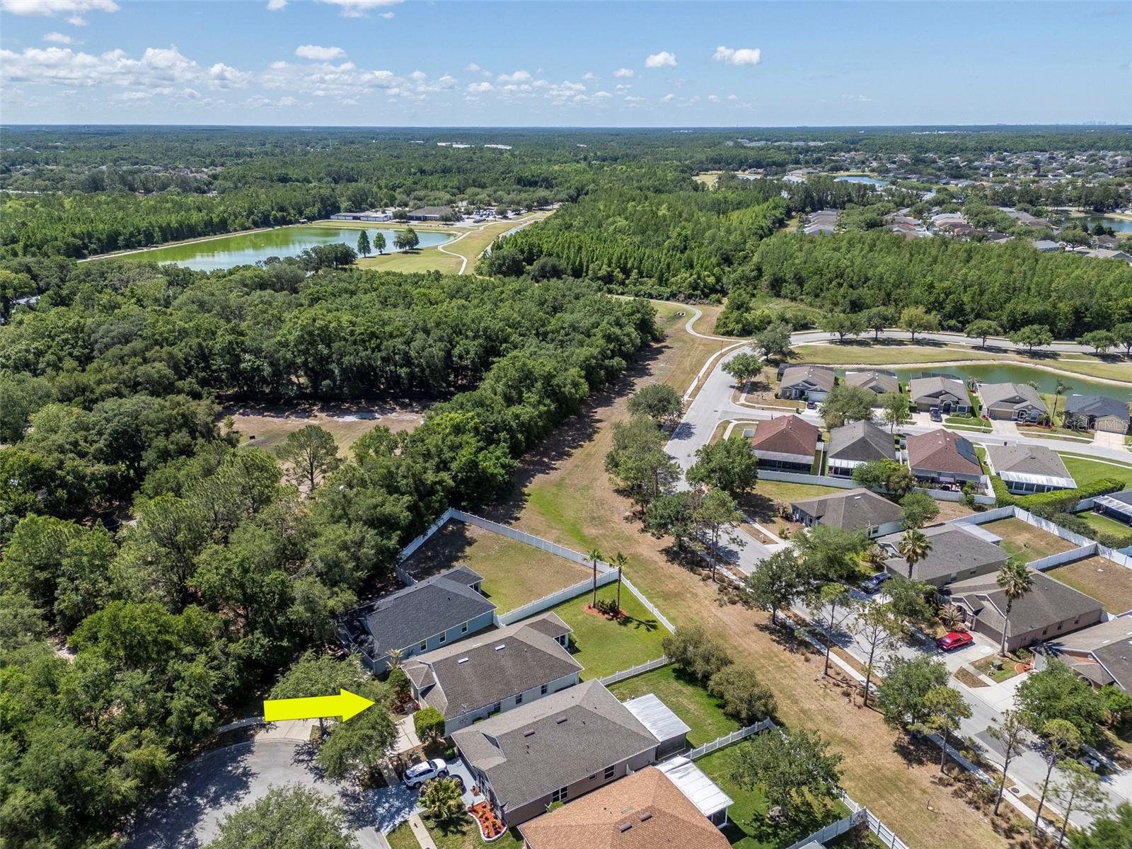 25944 WINNING COLORS WAY, WESLEY CHAPEL, FL, 33544