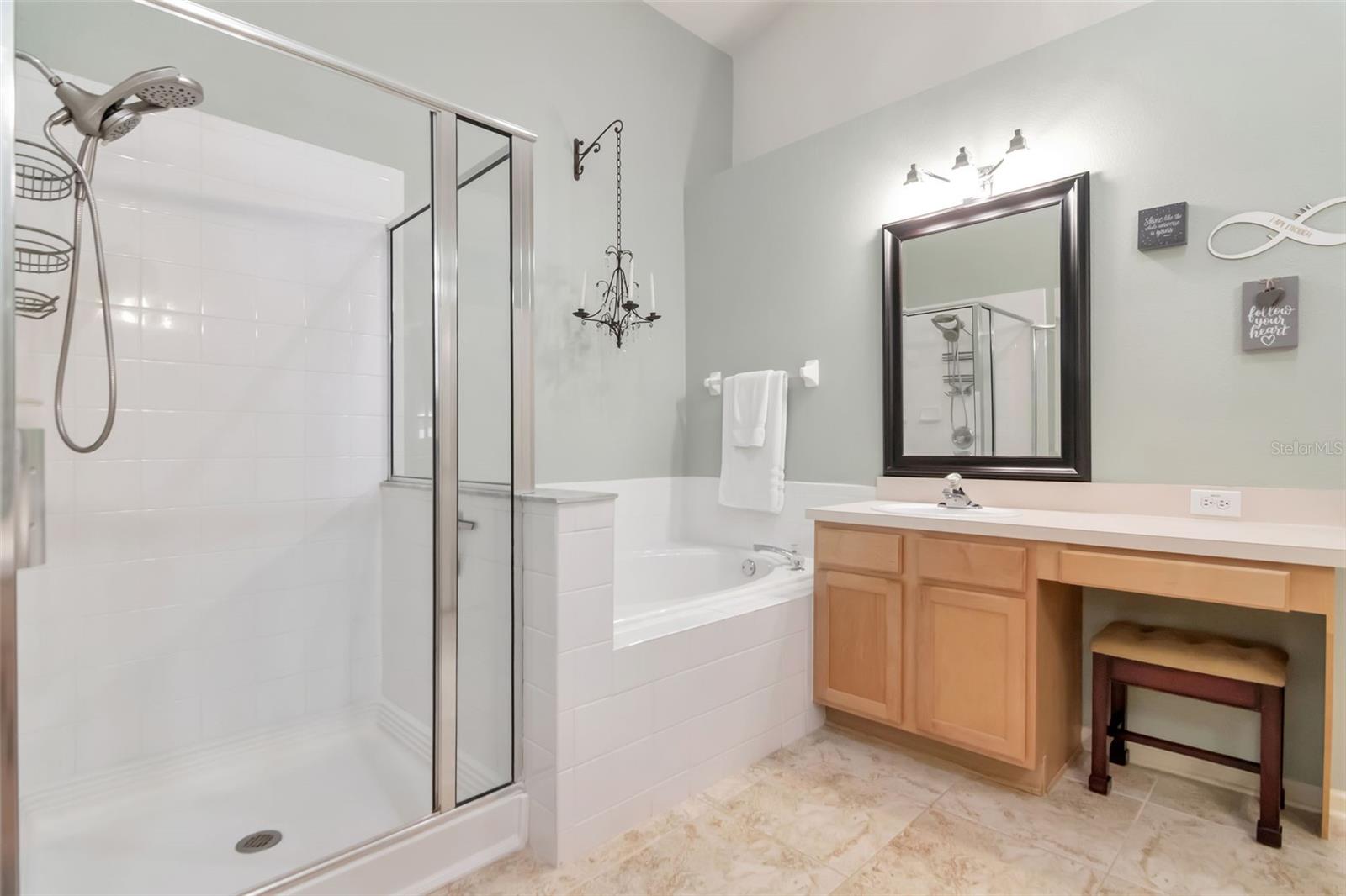 25944 WINNING COLORS WAY, WESLEY CHAPEL, FL, 33544