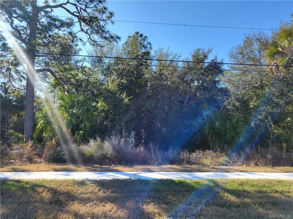 1224 S SUNCOAST BLVD, HOMOSASSA, FL, 34448