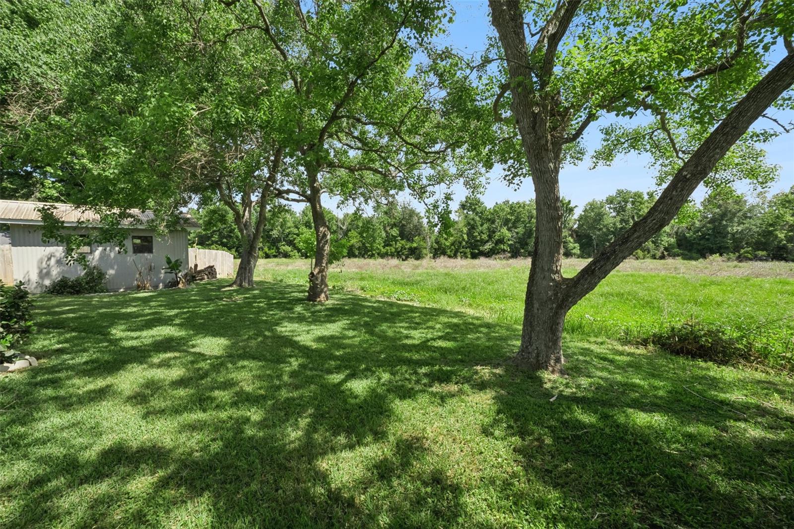 16802 SUGAR BERRY LN, MONTVERDE, FL, 34756